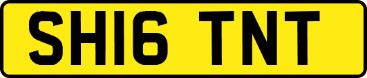SH16TNT