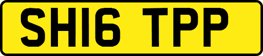SH16TPP