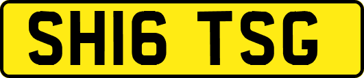 SH16TSG