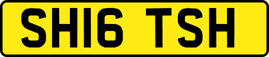 SH16TSH
