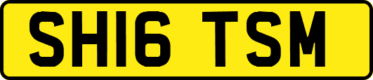 SH16TSM