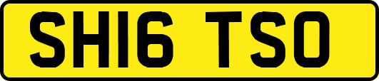 SH16TSO