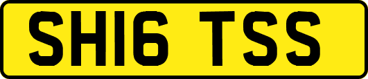 SH16TSS