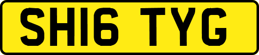 SH16TYG