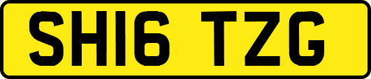 SH16TZG