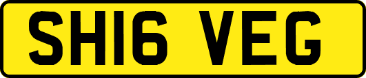 SH16VEG