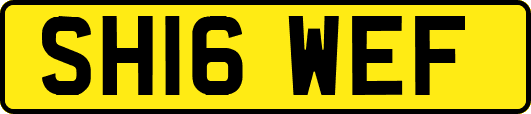 SH16WEF