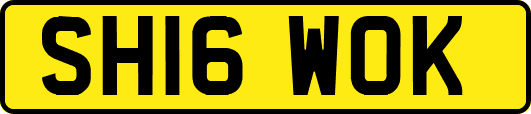 SH16WOK