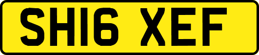 SH16XEF
