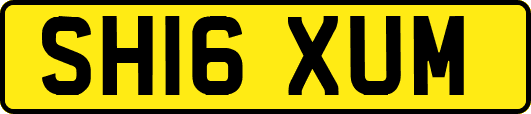 SH16XUM