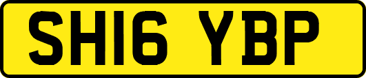 SH16YBP