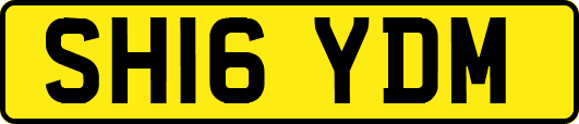 SH16YDM