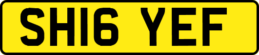 SH16YEF