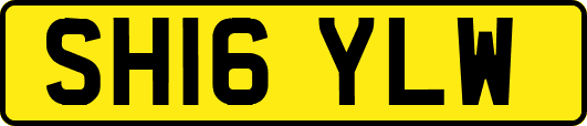 SH16YLW