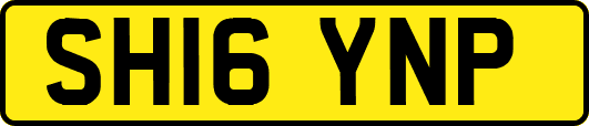 SH16YNP