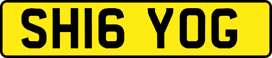 SH16YOG