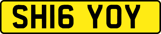SH16YOY