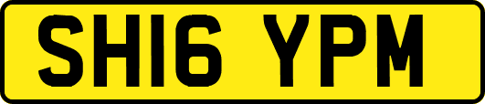 SH16YPM