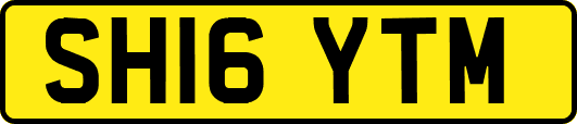 SH16YTM