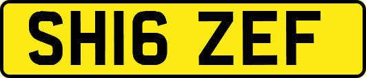 SH16ZEF