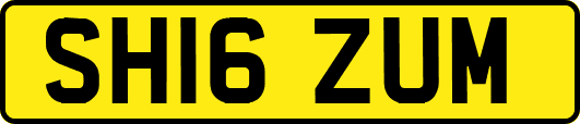 SH16ZUM