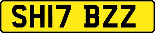 SH17BZZ