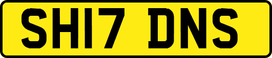 SH17DNS
