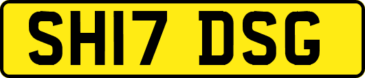 SH17DSG