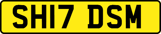 SH17DSM