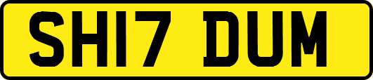 SH17DUM