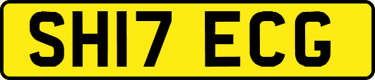 SH17ECG
