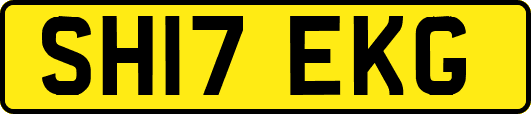 SH17EKG