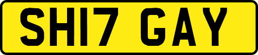 SH17GAY