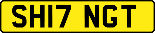 SH17NGT