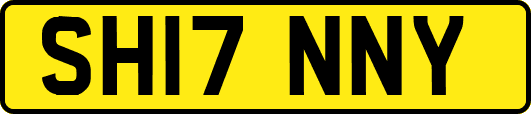 SH17NNY