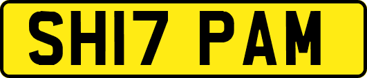 SH17PAM