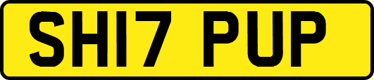 SH17PUP