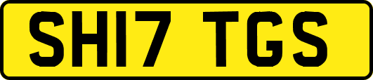 SH17TGS