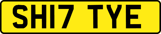 SH17TYE