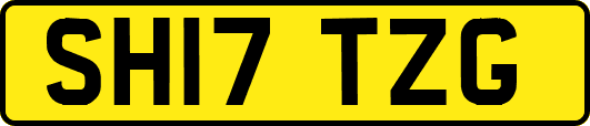 SH17TZG