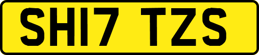 SH17TZS