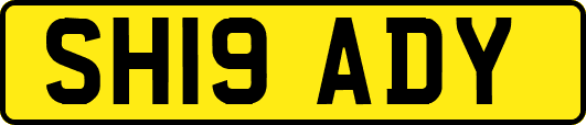 SH19ADY