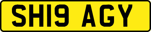 SH19AGY
