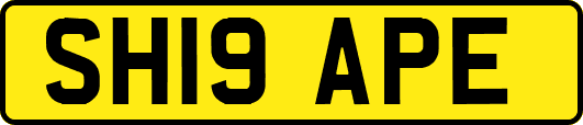 SH19APE