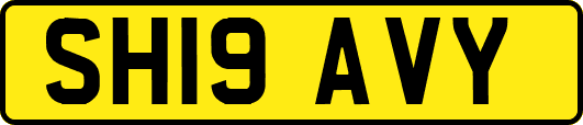 SH19AVY
