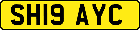 SH19AYC