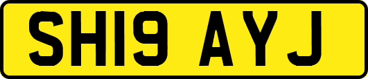 SH19AYJ