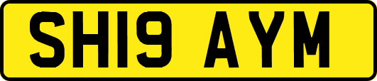 SH19AYM