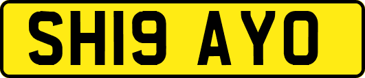 SH19AYO