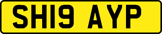 SH19AYP